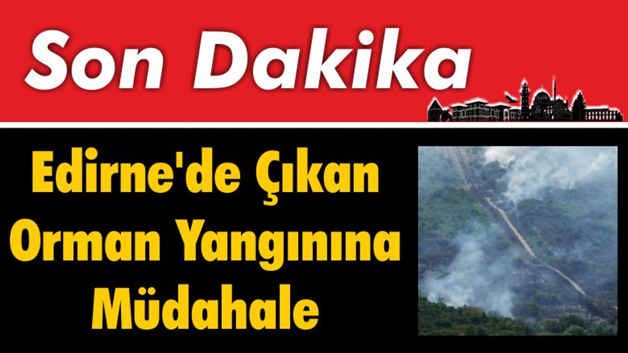 Edirne'de Çıkan Orman Yangınına Müdahale