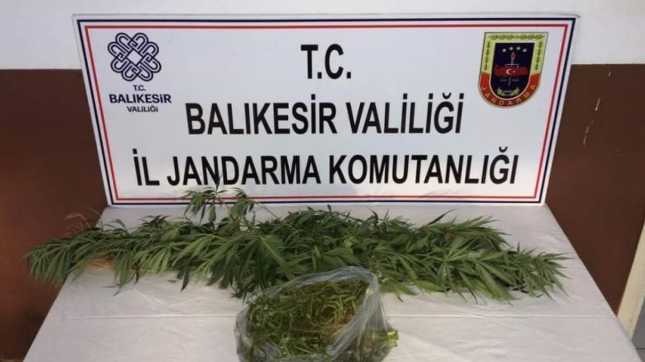 Erdek'te Kenevir Operasyonu