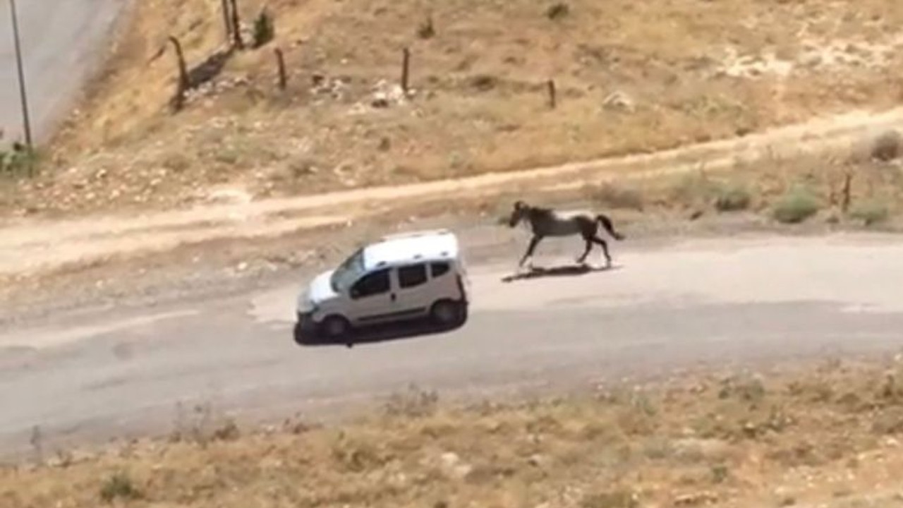 Görüntüler Pes Dedirtti ! Atı Aracın Arkasına Bağladı