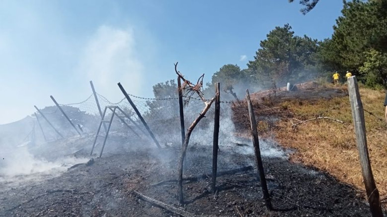 Kazdağları'nda Korkutan Yangın