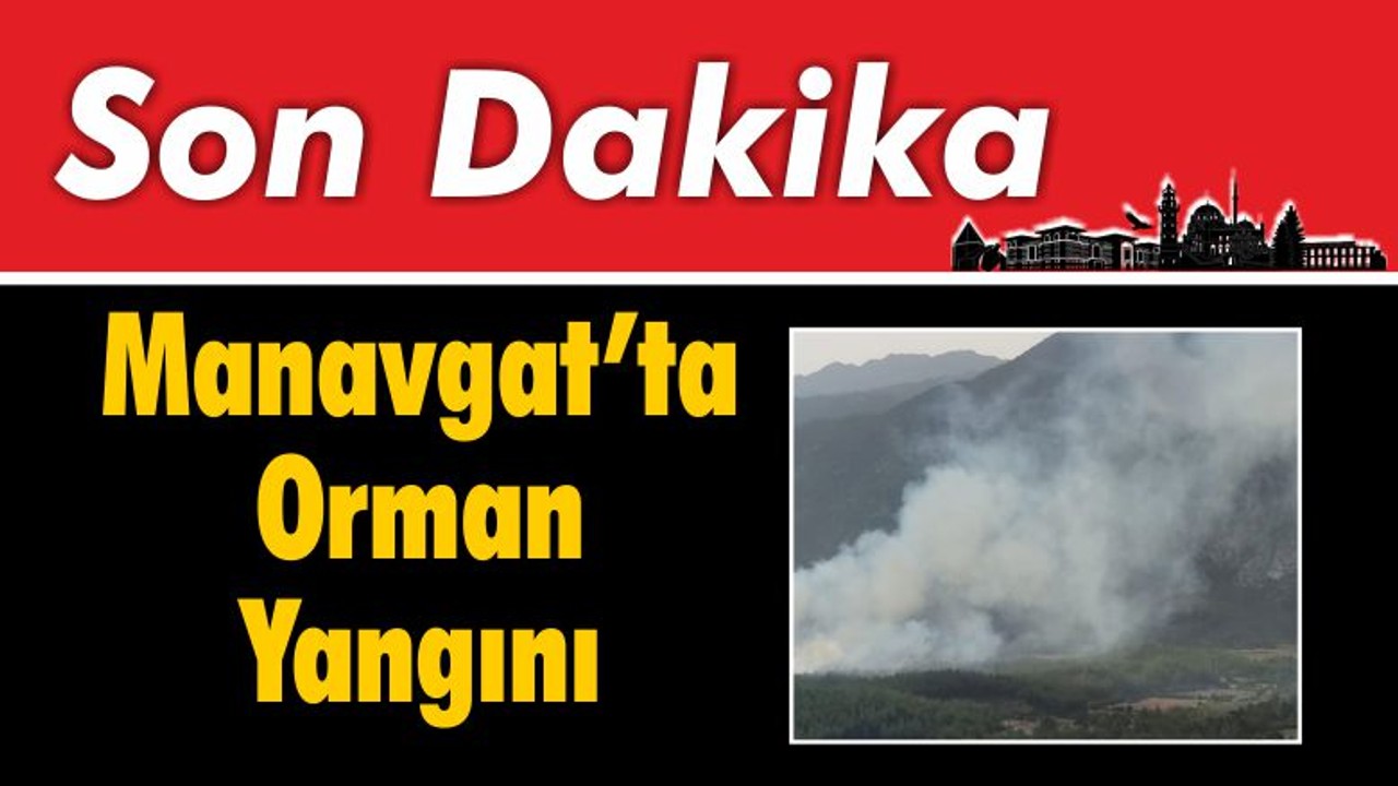 Manavgat'ta Orman Yangını Çıktı