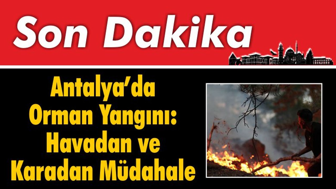 Antalya'da Orman Yangını: Havadan ve Karadan Müdahale