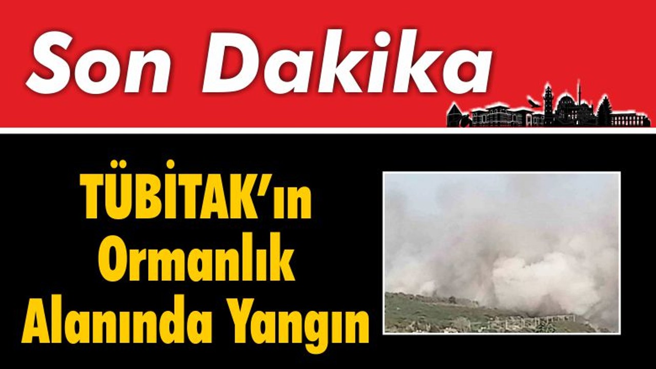 Tübitak’ın Ormanlık Alanında Yangın