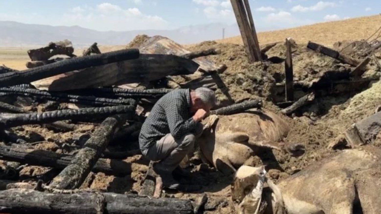 Yangında İnekleri Telef Olan Köylü Gözyaşlarına Boğuldu