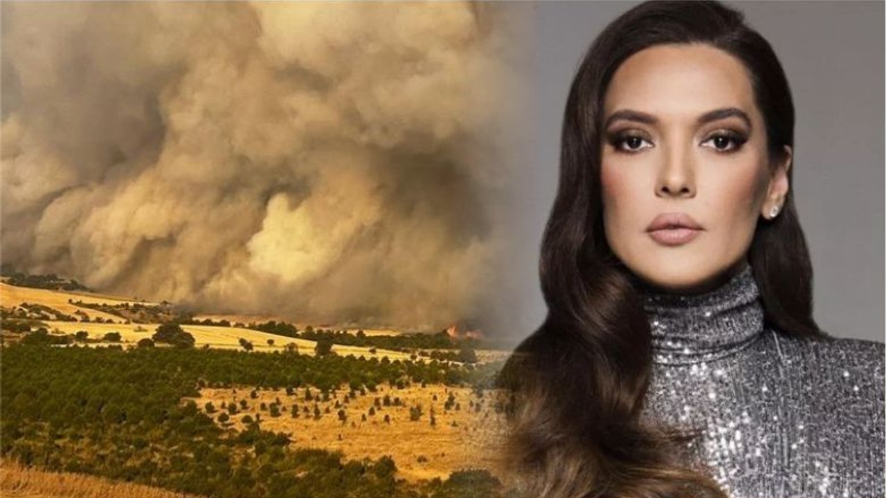 Demet Akalın'ın Çanakkale Yangını Paylaşımı Gündem Oldu