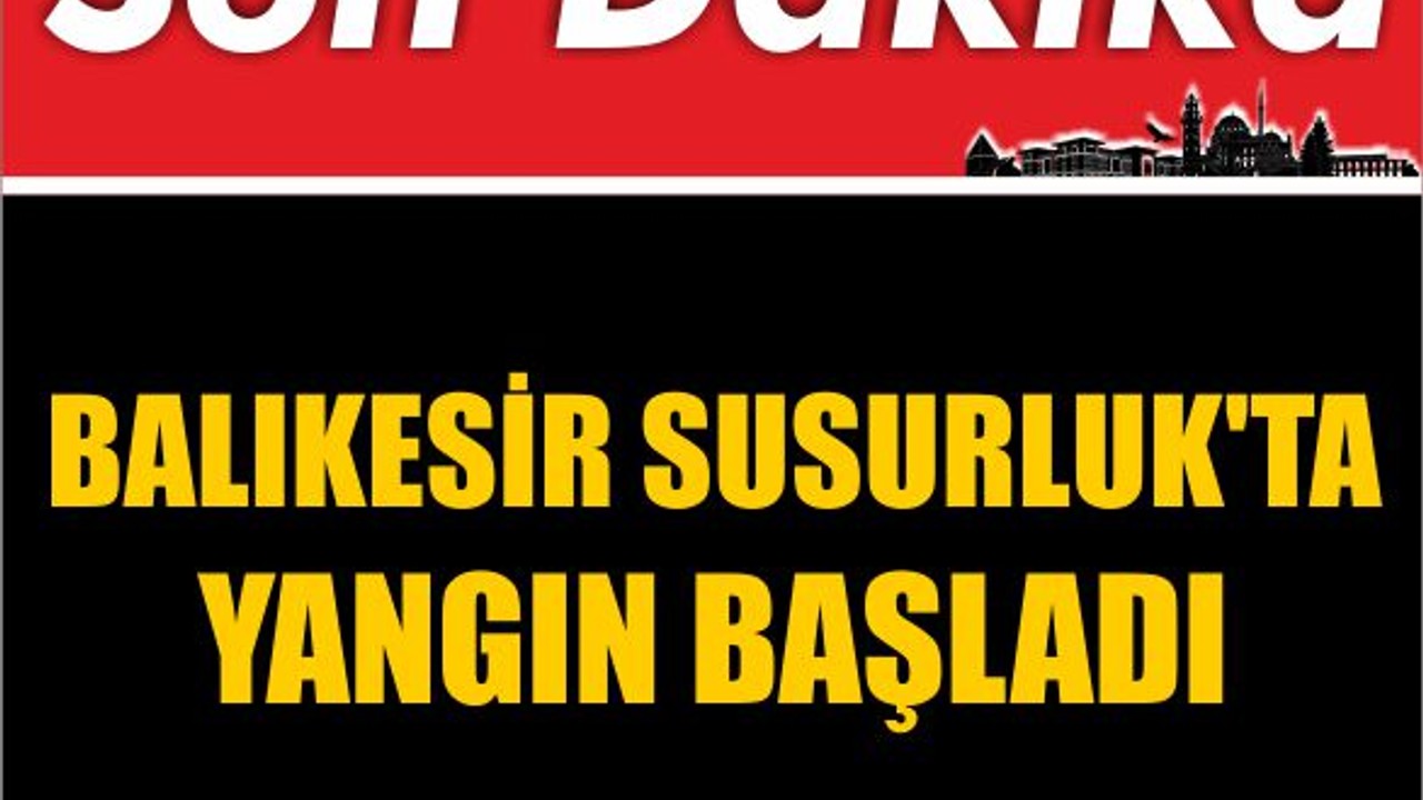 Son Dakika ! Balıkesir Susurluk'ta Yangın Başladı