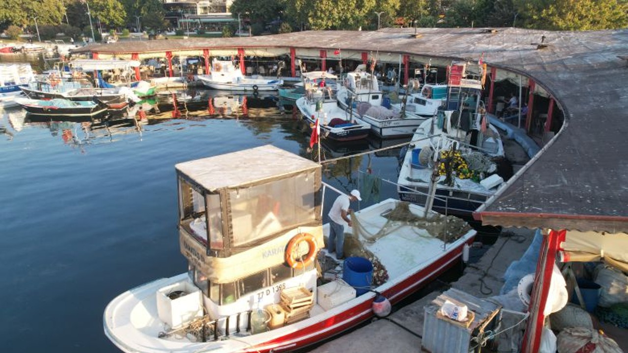 Bu Sene Tezgahları Dolduracak Balık Belli Oldu