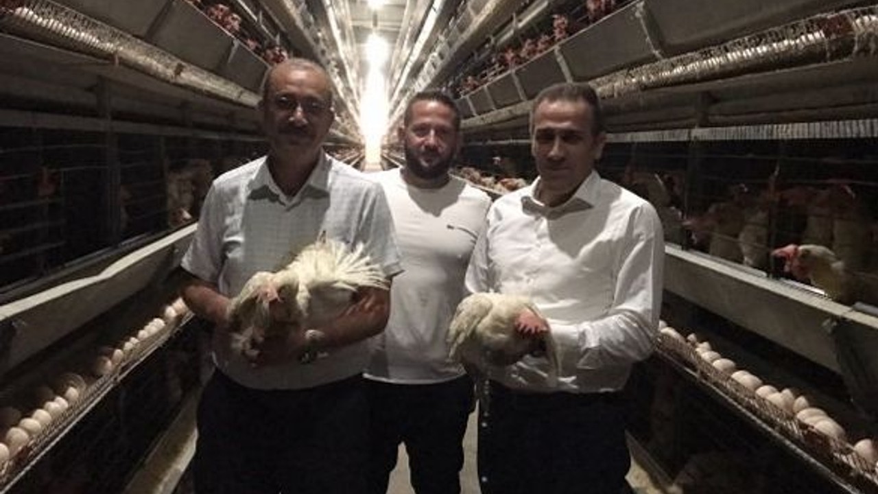 Kaymakam Memiş Yumurta ve Et Üretim Tesislerini Ziyaret Etti