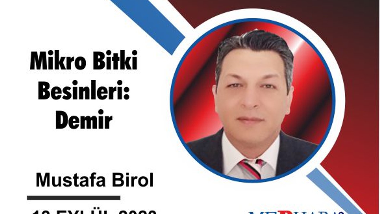 Mikro Bitki Besinleri: Demir
