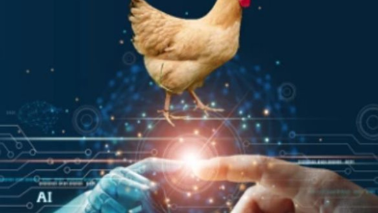 Yapay Zeka Hayvanların Tercümanı Oluyor