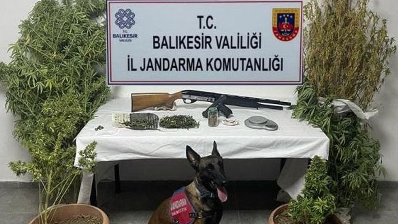 Ayvalık'ta 1 Kilo Uyuşturucu Ele Geçirildi