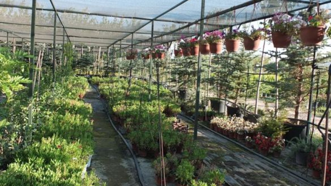 500 Çeşit Bitki Yetiştirdi