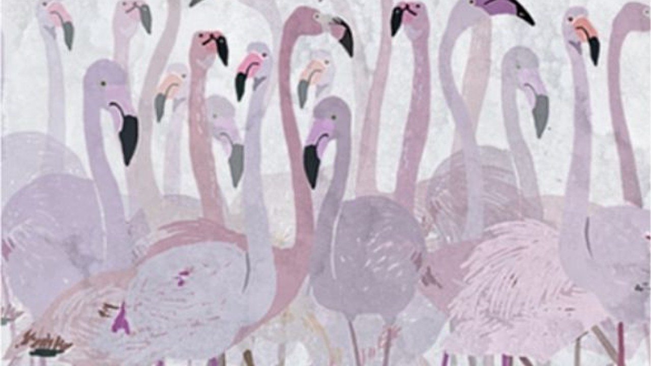 Türkiye'nin ilk Flamingo Festivali