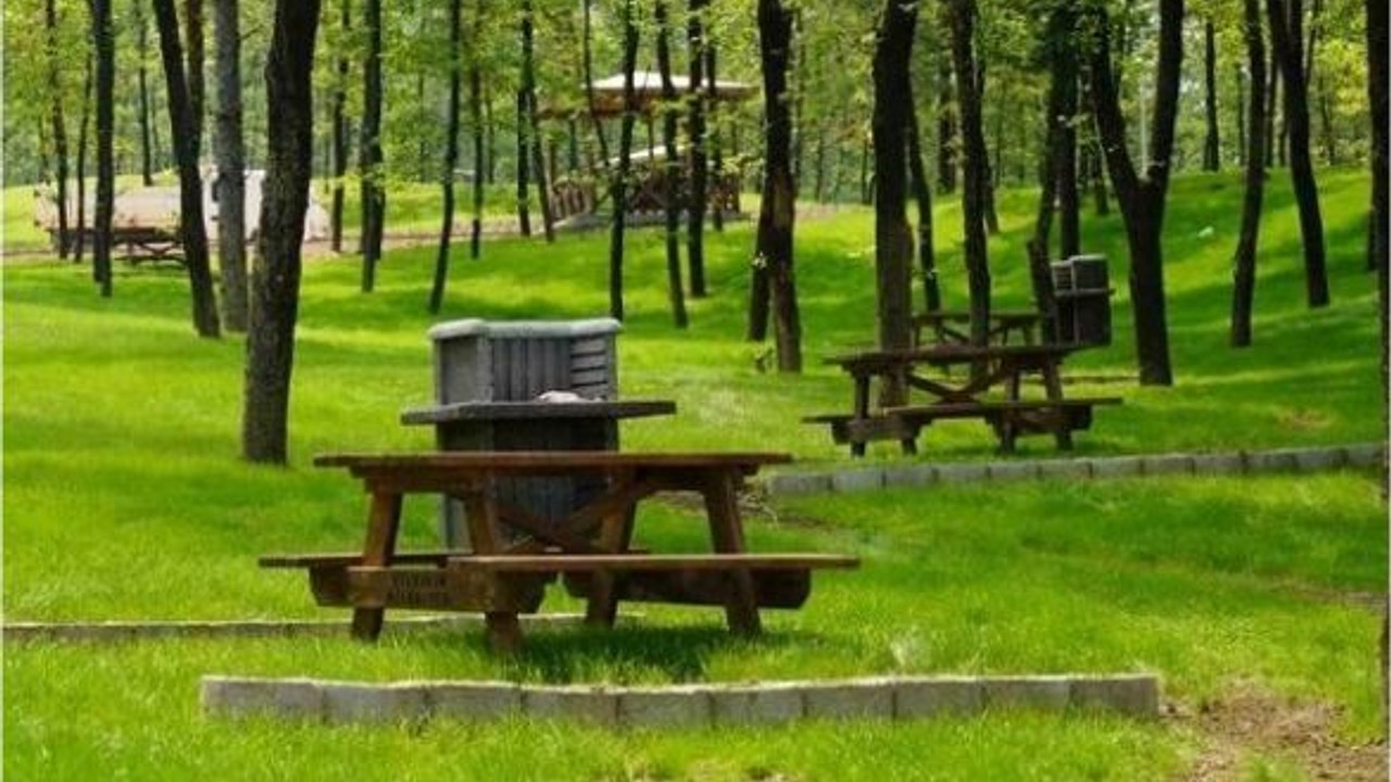 Bandırma Orman İşletme Müdürlüğü'nce konaklamasız orman parkı kiraya verilecek