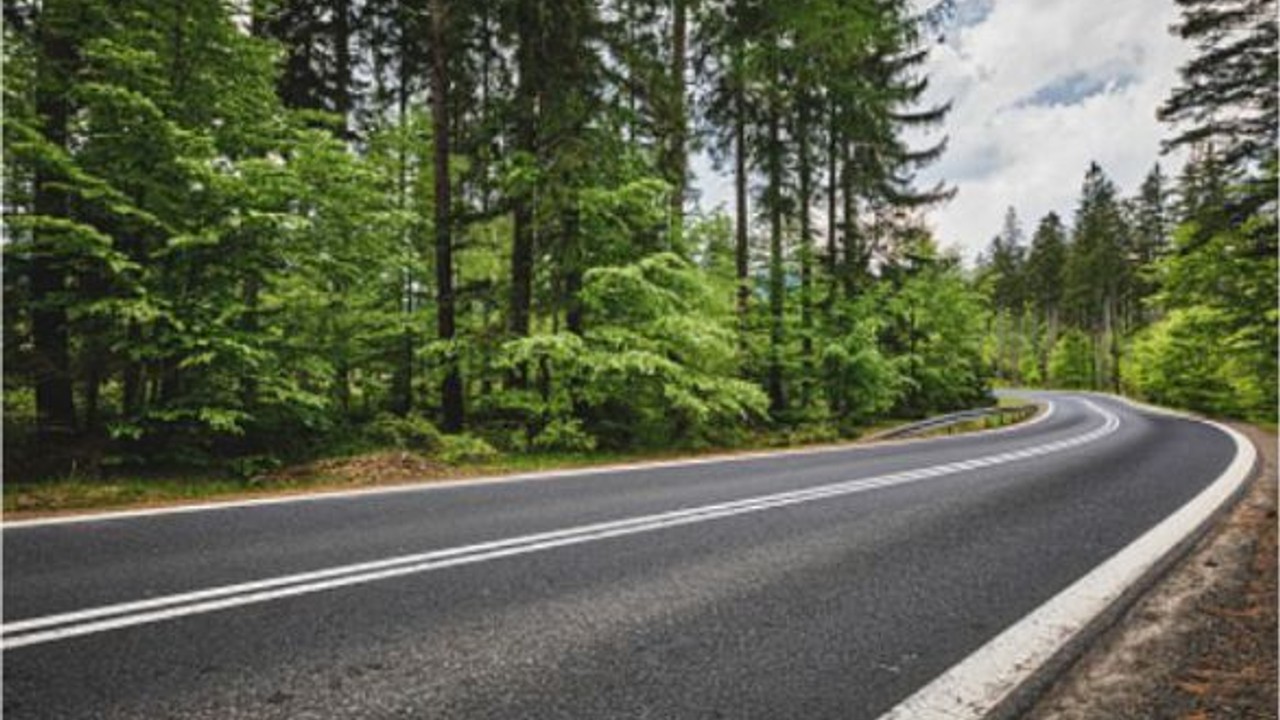 Orman yolu sanat yapısı yaptırılacak