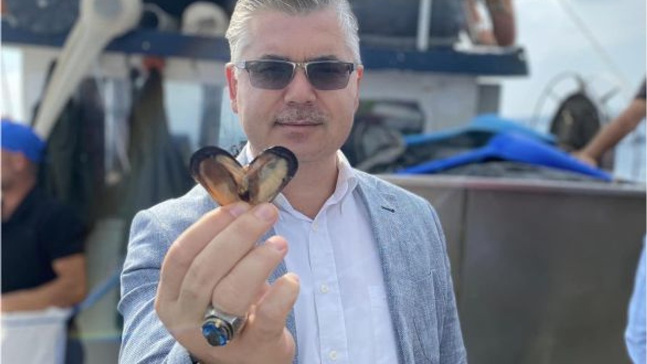 Balıkesir Sularında Mideye Rüzgarı! Tarım Müdürü Sahada