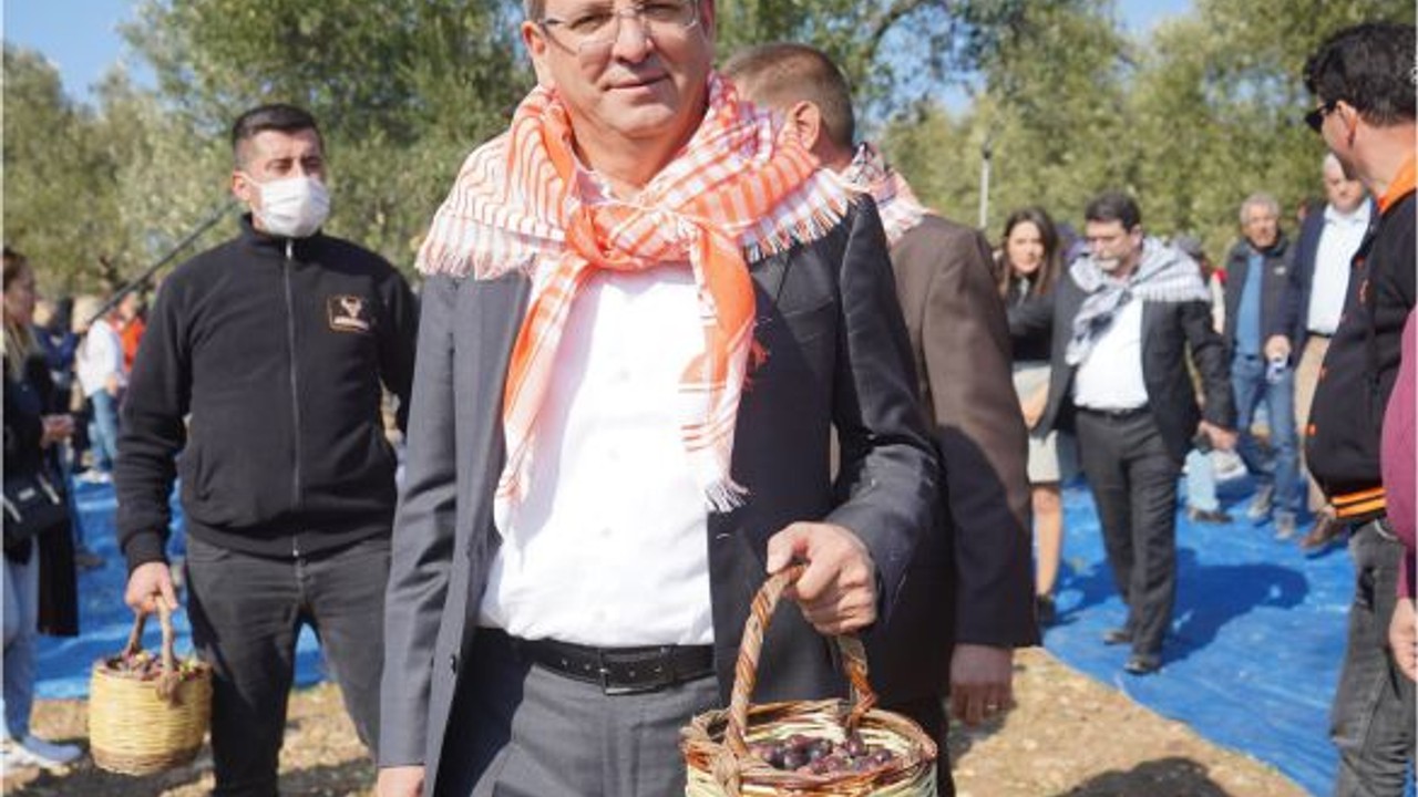 Ayvalık Zeytinyağı Dünya Kalitesinde!