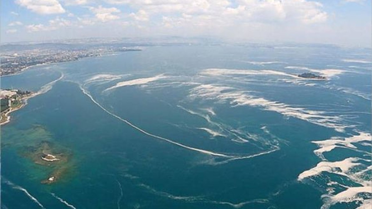 Marmara Denizi'nde Balıkların Avlanma Takvimi Değişti