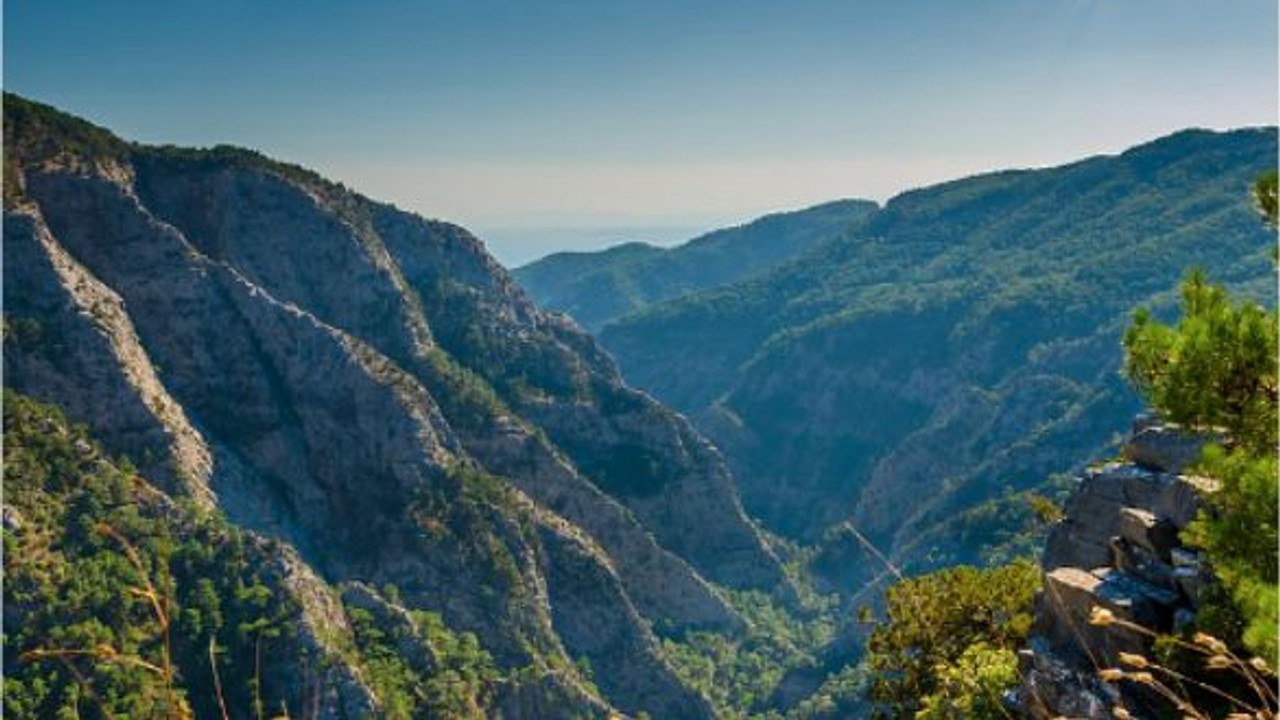 Balıkesir'in Flora Rehberi