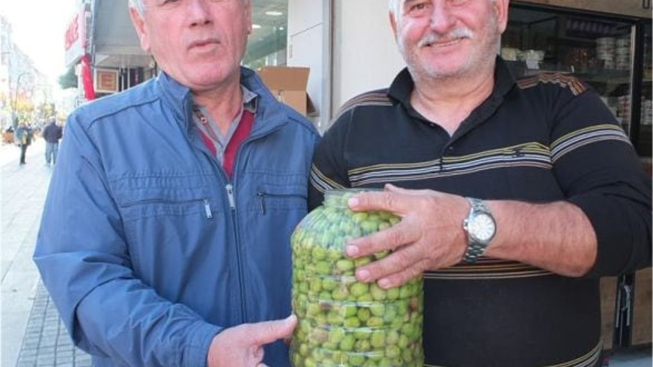 Balıkesir'de Kırma Zeytin Hazırlığı Başladı
