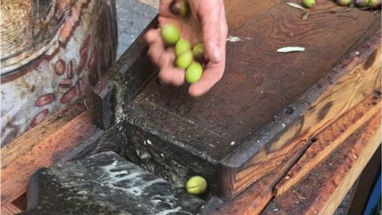 Ayvalık’ta Festival Hazırlıkları Başladı