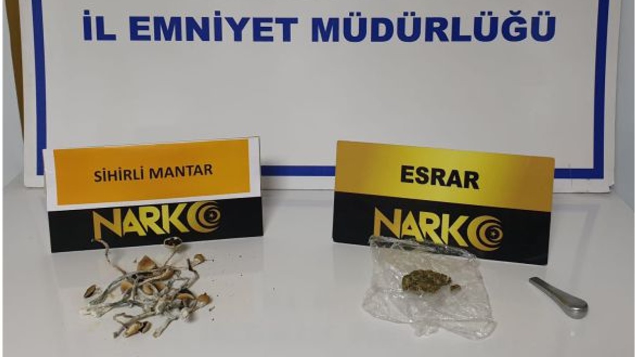 Ayvalık’ta Sihirli Mantar Operasyonu