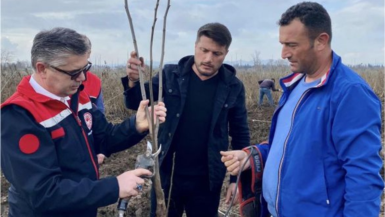 Balıkesir Sertifikalı Fidan Üretiminde Öncü