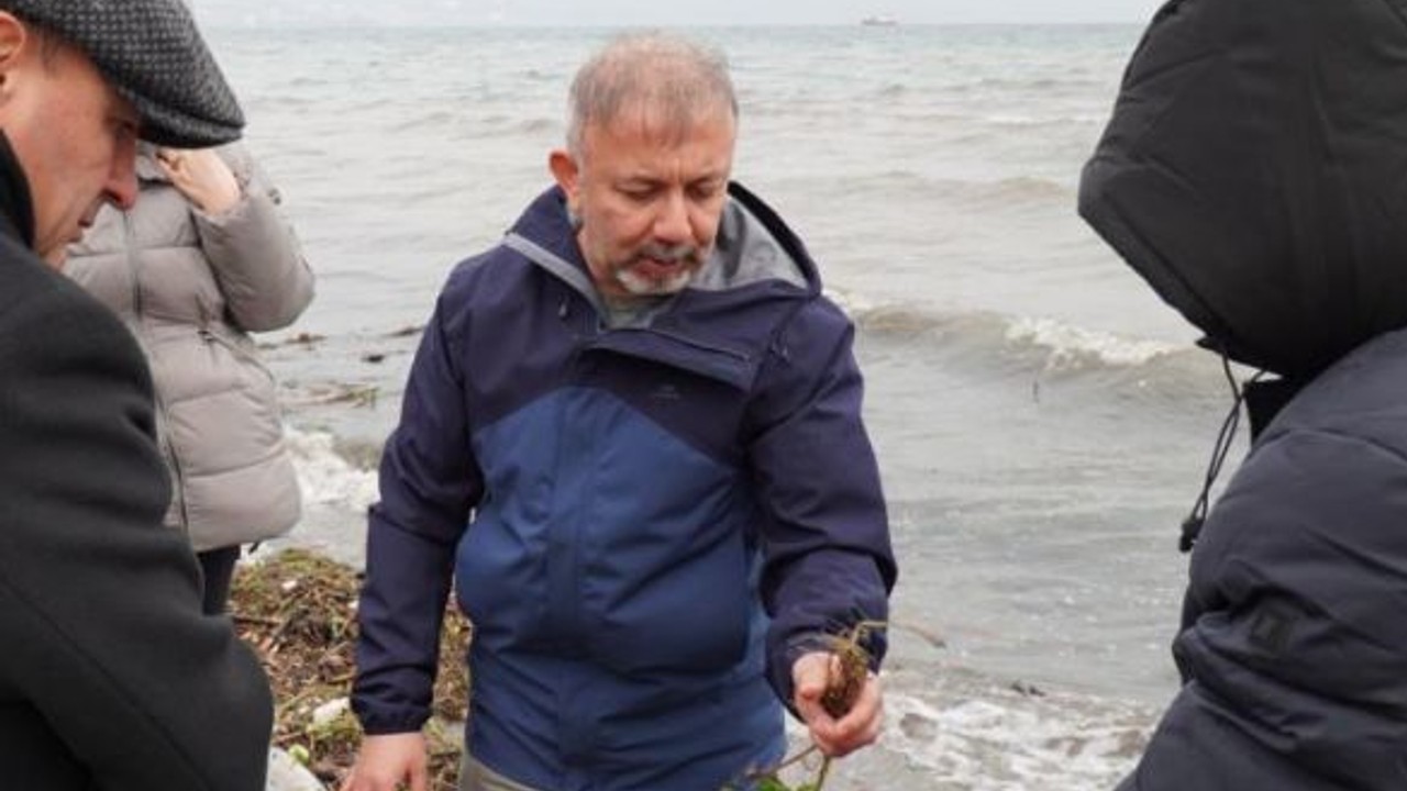 Denizlerin Geleceği Deniz Çayırları