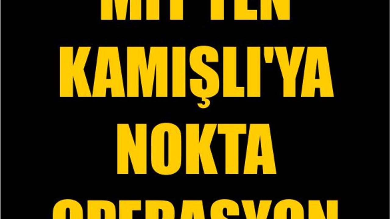 MİT'ten Kamışlı'ya Nokta Operasyon