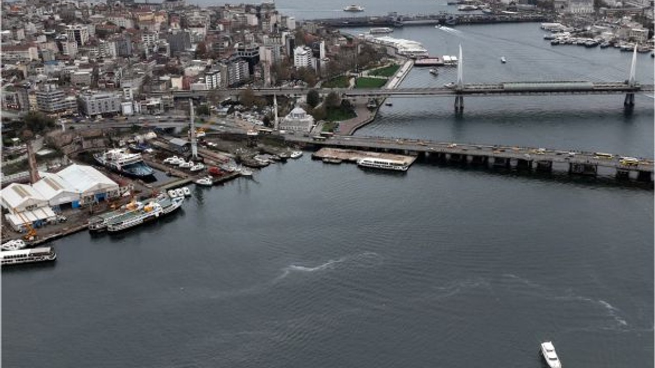 Kirlilik Yüzünden Haliç’te Denizanası İstilası
