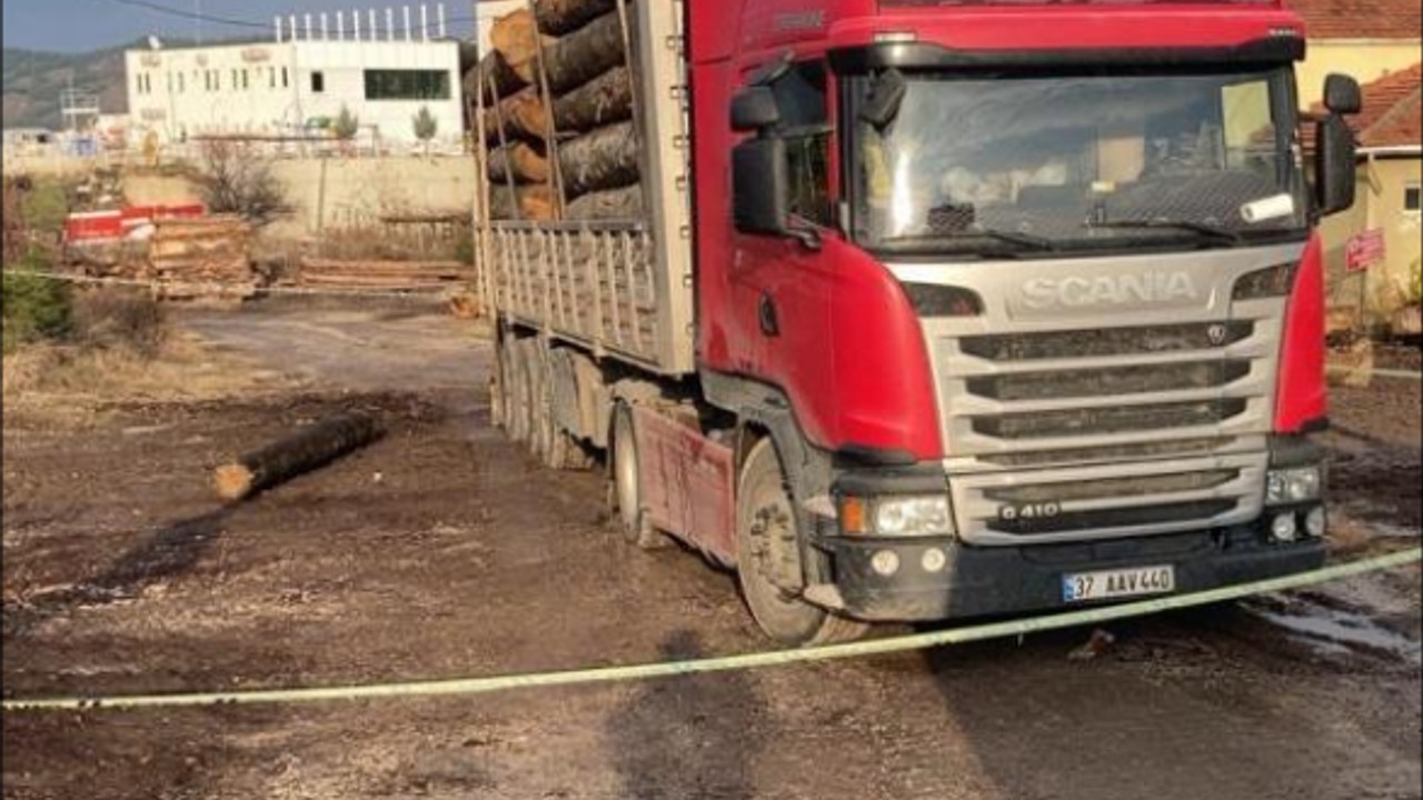 Üzerine tomruk düşen sürücü hayatını kaybetti
