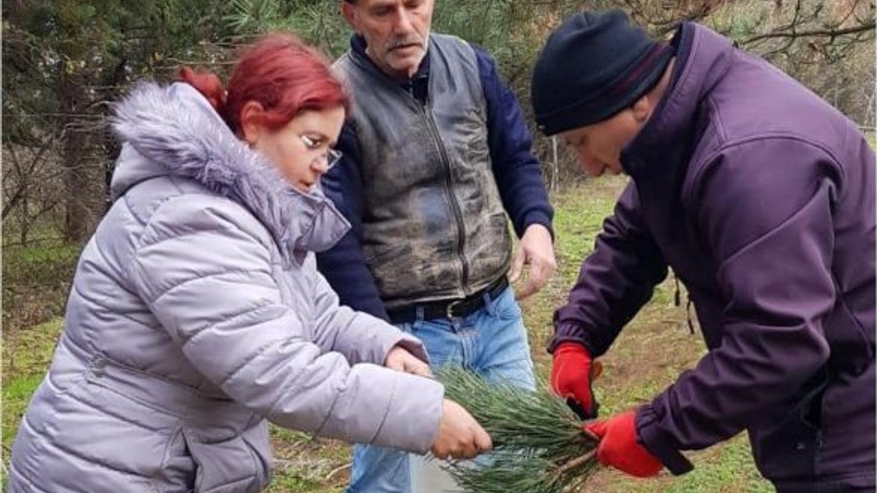 Balıkesir'de Kaliteli Orman Ağaçları Geleceğe Taşınıyor!