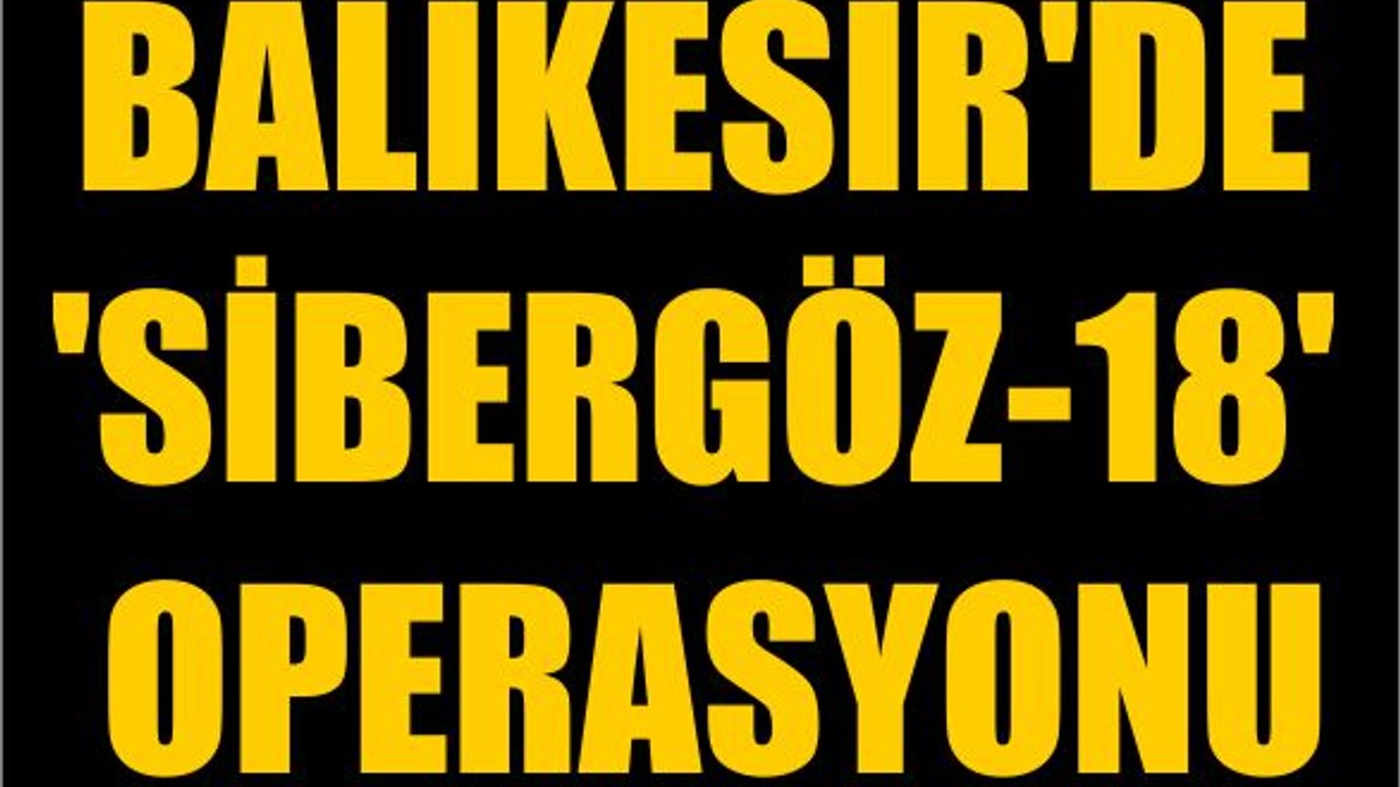 Balıkesir'de 'Sibergöz-18' Operasyonu