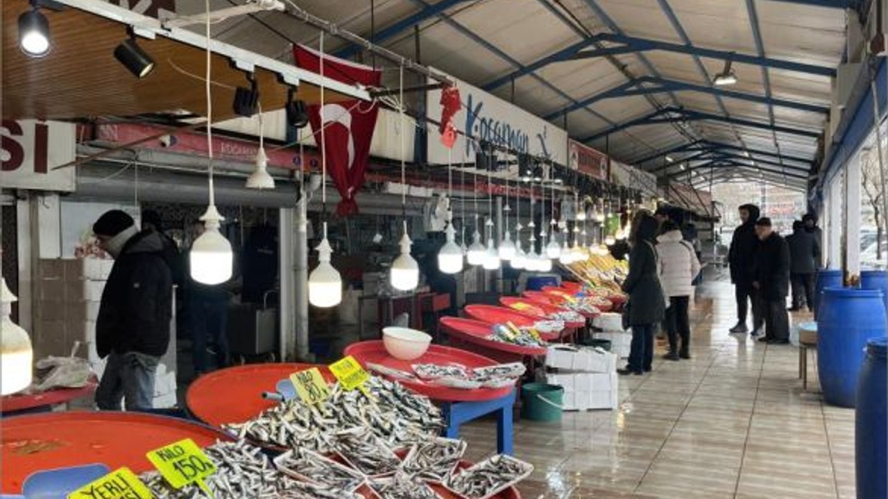 Hamsinin Fiyatı Rekor Kırdı