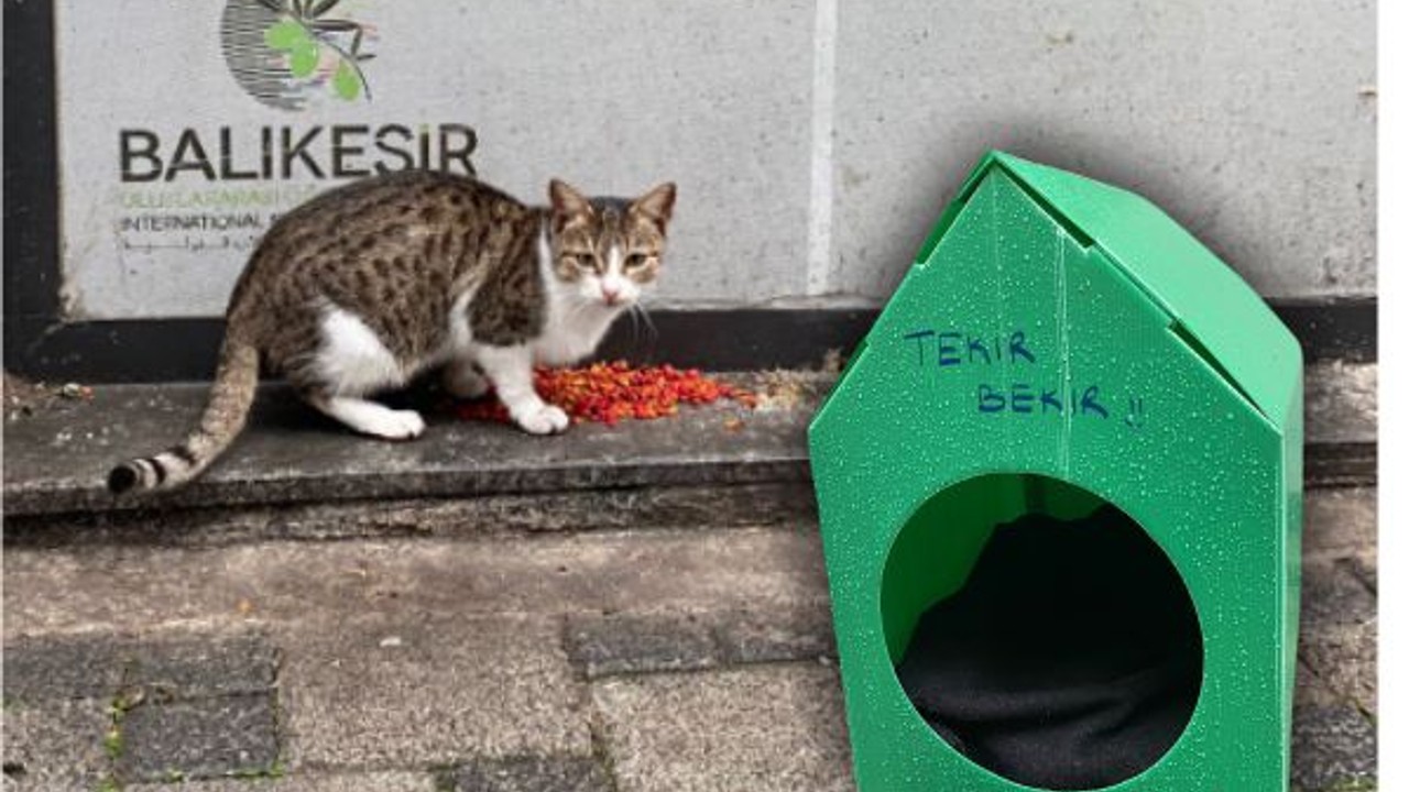 Balıkesir Sokaklarında Sevgi İzleri