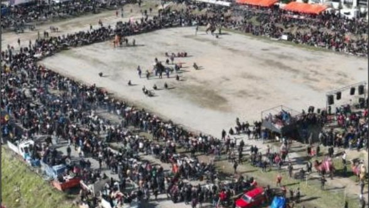 Geleneksel Deve Güreşleri Binlerce Seyirciyle Buluştu