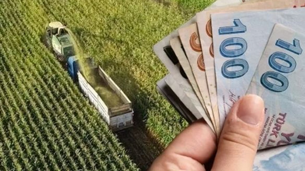 Türkiye'den Tarımsal Desteklere Kolay Erişim