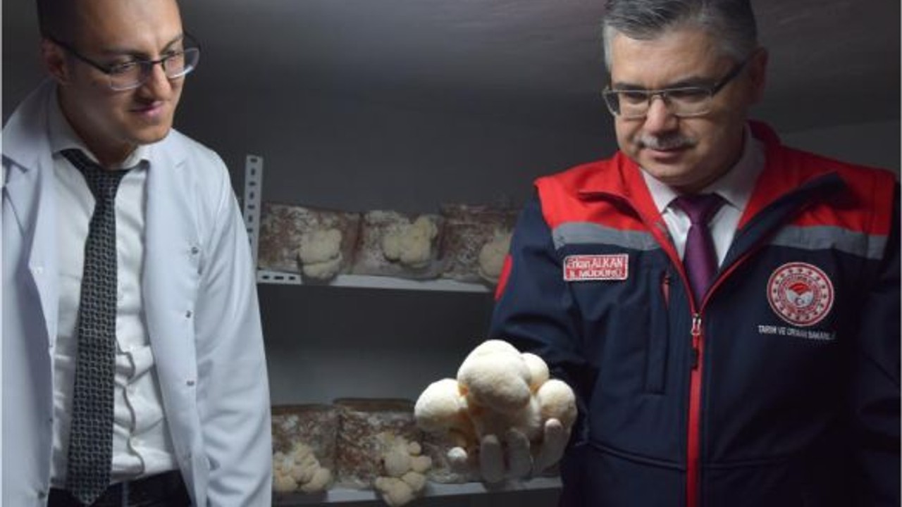 Evin Bodrumunda Başlayan Üretim Birçok Kişiye İlham Oldu