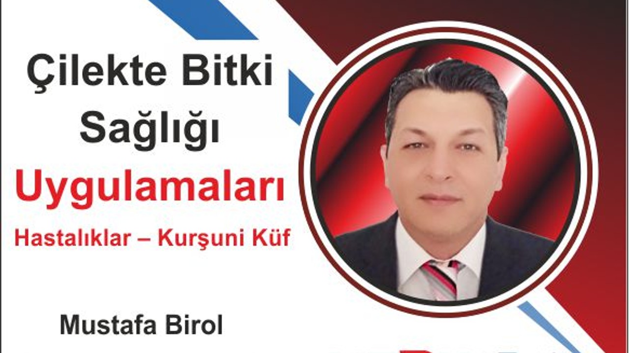 Çilekte Bitki Sağlığı Uygulamaları