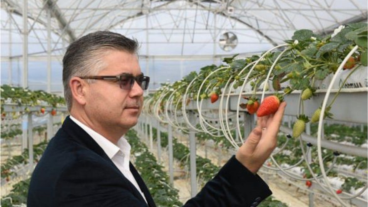 Örtüaltı Tarımda Balıkesir Merkez Olma Yolunda