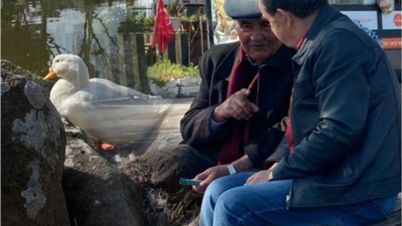 Balıkesir Havası Baharı Aratmıyor