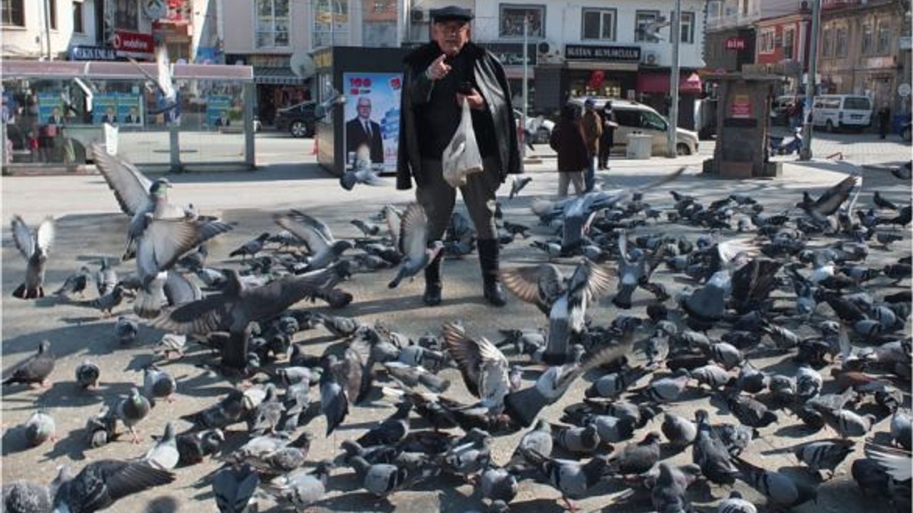 Burhaniye Meydanı Güvercinlerle Şenleniyor