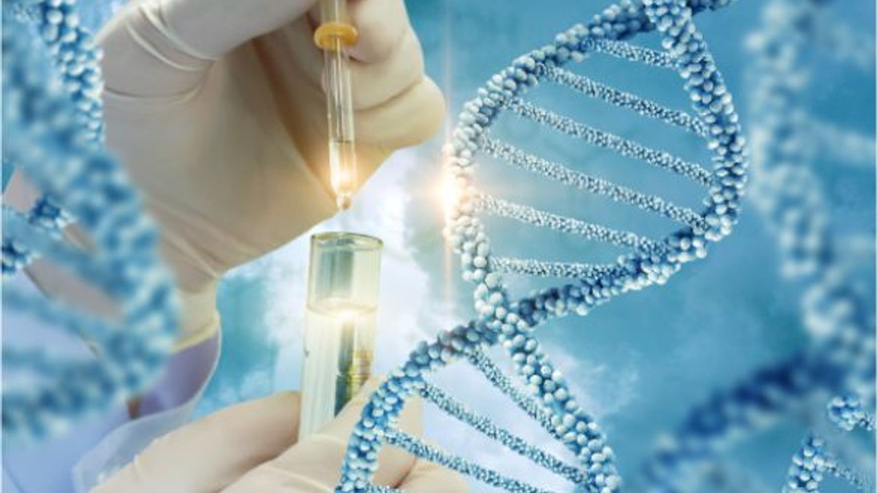 Genetik Testlerle Kromozom Bozuklukları Teşhis Edilebiliyor