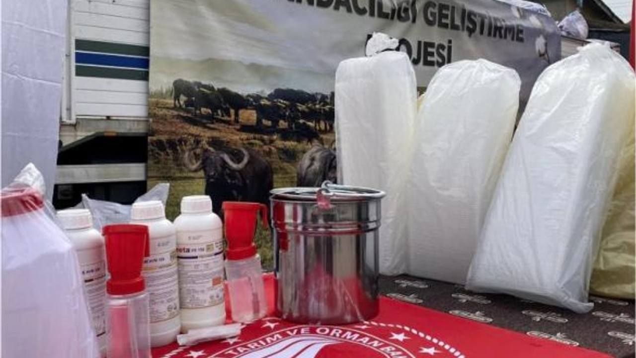 Balıkesir'de 162 Manda Üreticisine Destek