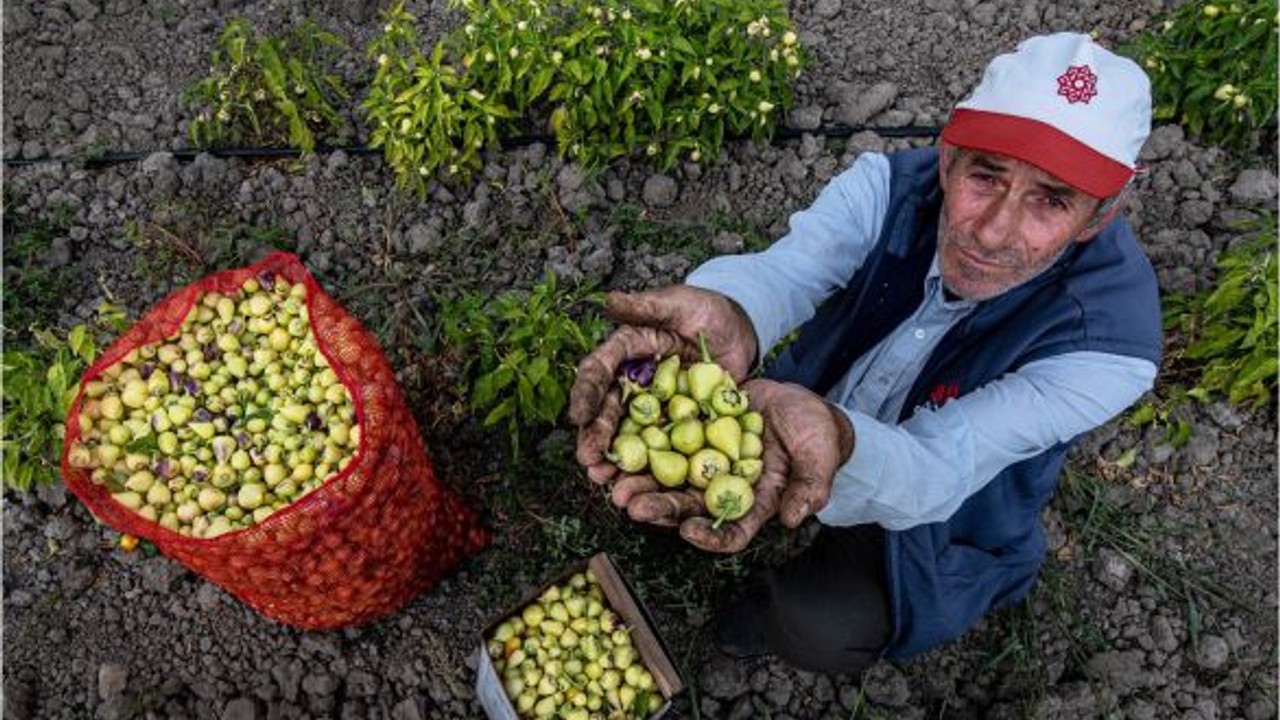 Balıkesir'in Görkemli Mirası Fotoğraf Sanatında