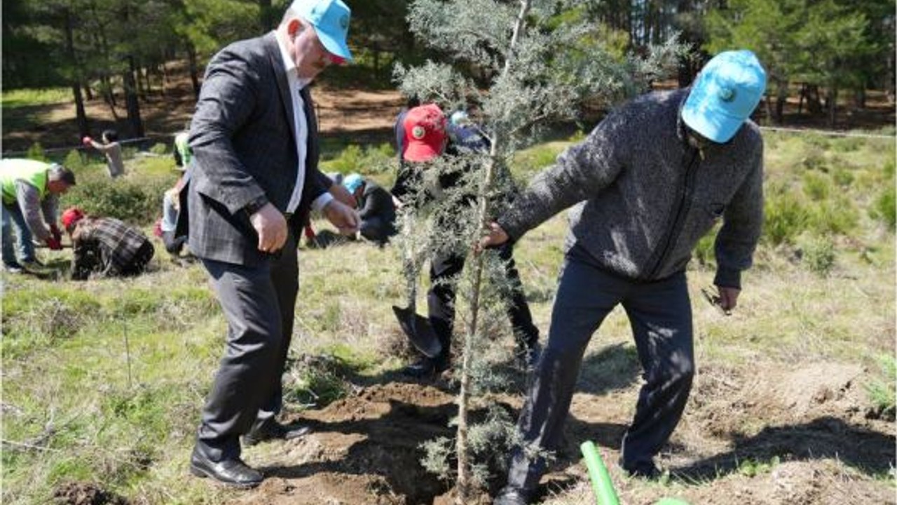 Kazdağları Yeni Ağaçları İle Buluştu