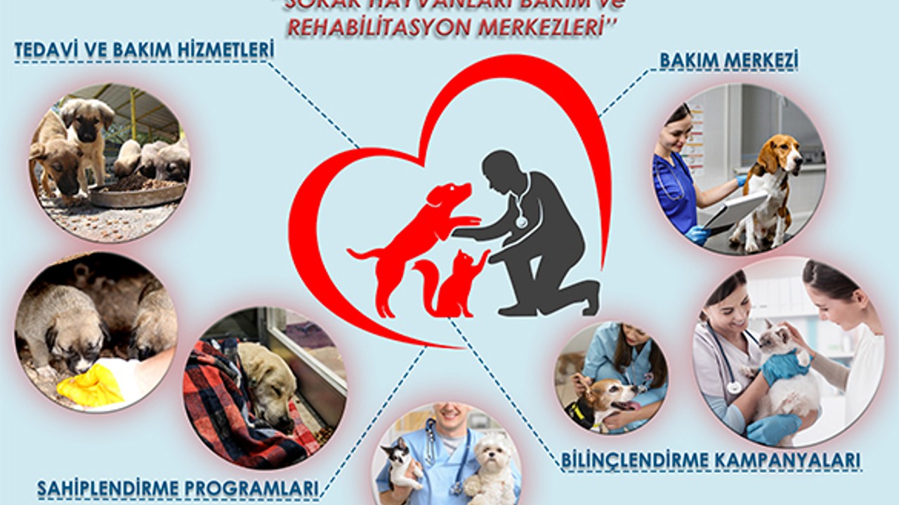 Mesut Eray'dan Altıeylül'e Hayvansever Dokunuş