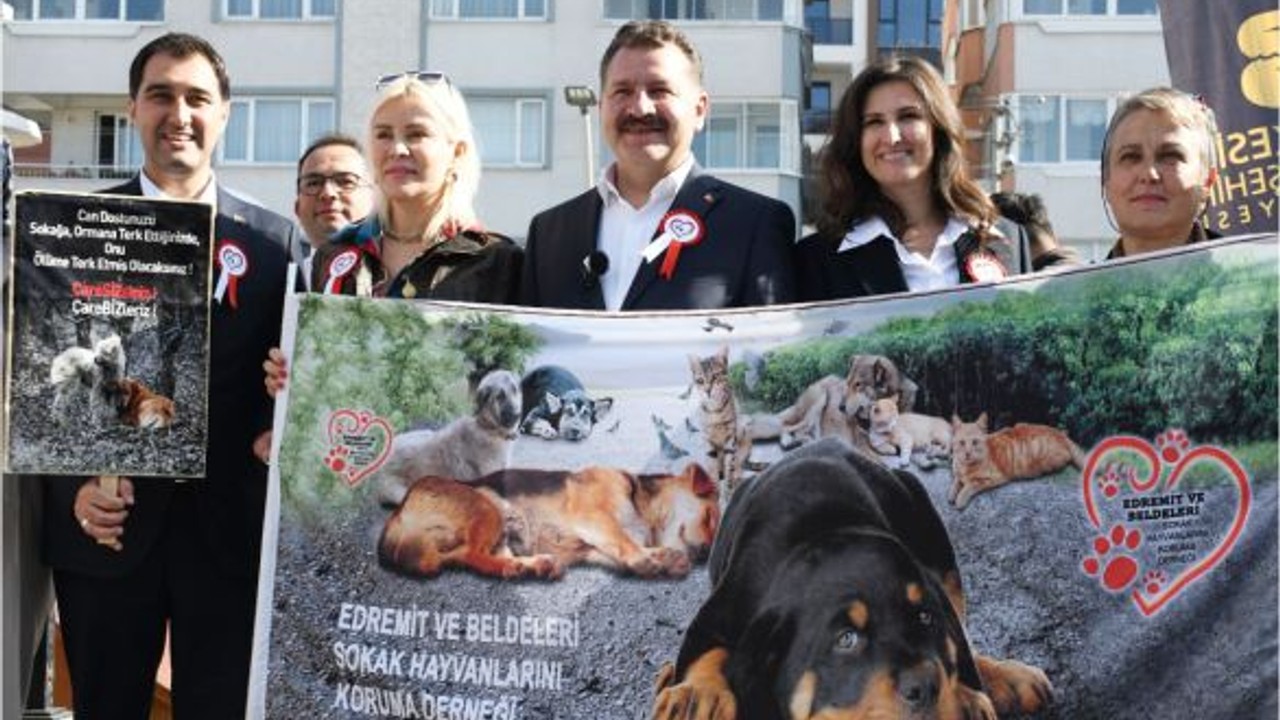 Sokak Hayvanları İçin Balıkesir'de Yeni Adım