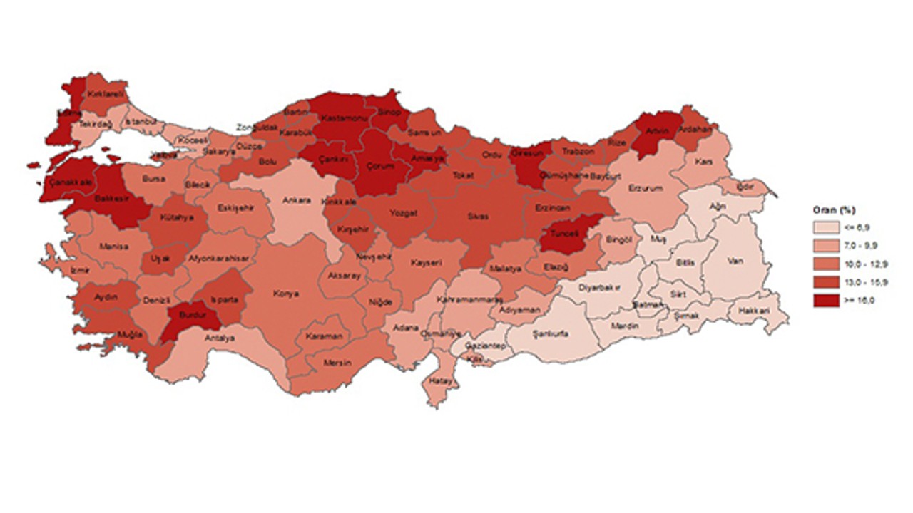 TUİK İstatistiklerle Yaşlılar, 2023 Verilerini Açıkladı