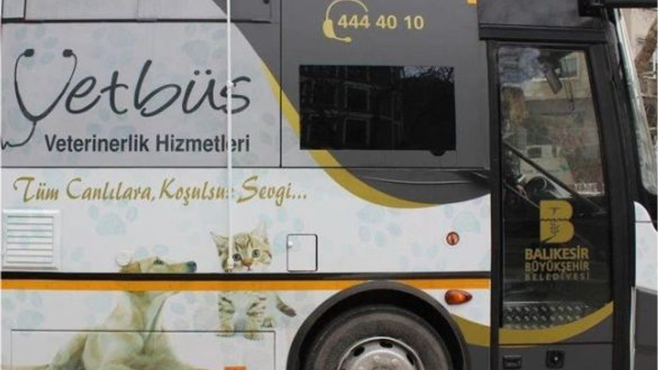 Temmuz-Ağustos Ayı Vetbüs Programı